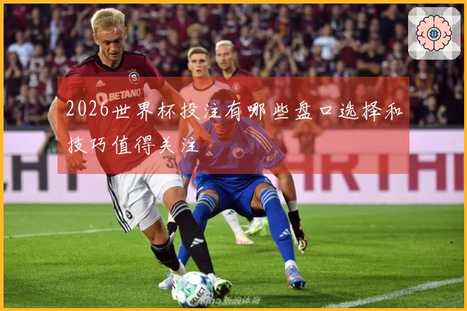 2026世界杯投注有哪些盘口选择和技巧值得关注