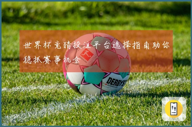 世界杯竞猜投注平台选择指南助你稳抓赛事机会