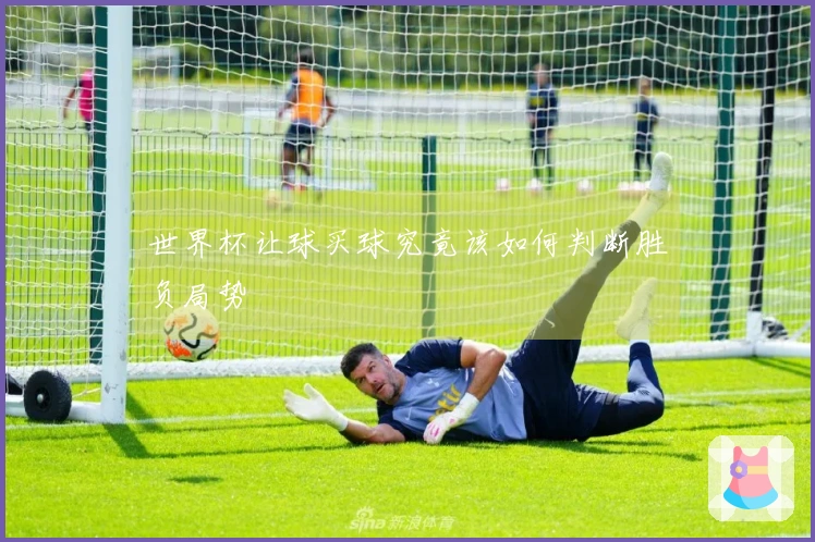 世界杯让球买球究竟该如何判断胜负局势