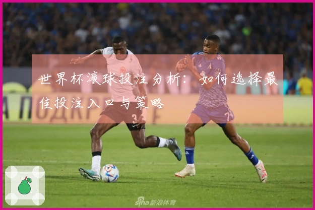 世界杯滚球投注分析：如何选择最佳投注入口与策略