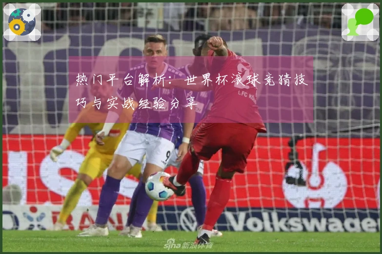 热门平台解析：世界杯滚球竞猜技巧与实战经验分享