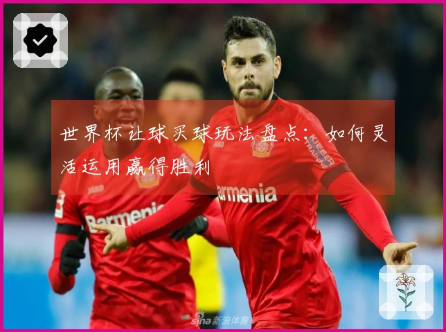 世界杯让球买球玩法盘点:如何灵活运用赢得胜利