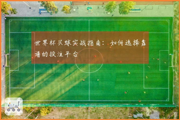 世界杯买球实战指南：如何选择靠谱的投注平台