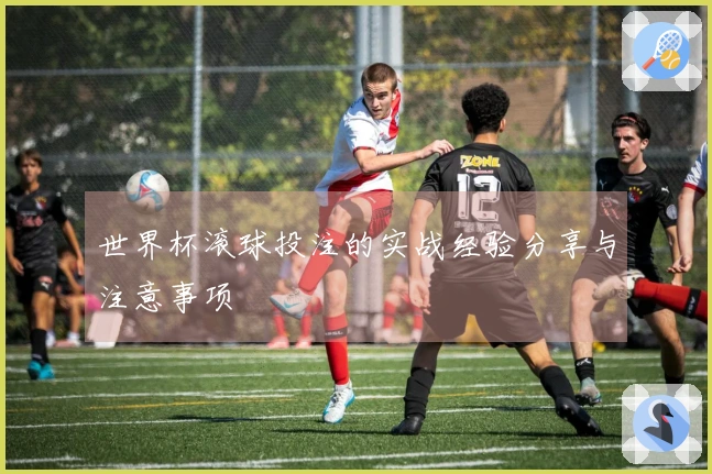 世界杯滚球投注的实战经验分享与注意事项