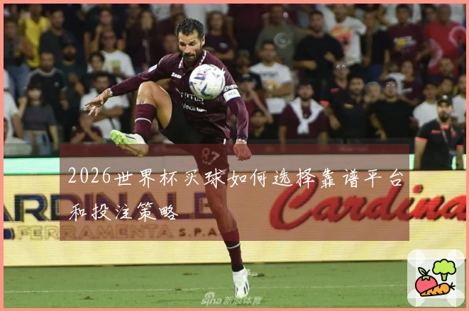2026世界杯买球如何选择靠谱平台和投注策略