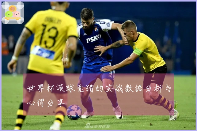 世界杯滚球竞猜的实战数据分析与心得分享