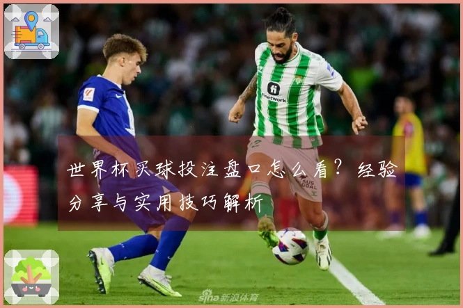 世界杯买球投注盘口怎么看？经验分享与实用技巧解析