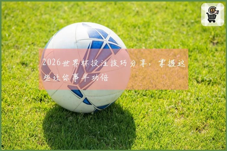 2026世界杯投注技巧分享，掌握这些让你事半功倍