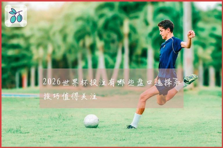 2026世界杯投注有哪些盘口选择和技巧值得关注