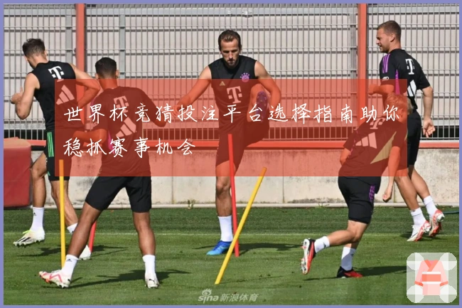 世界杯竞猜投注平台选择指南助你稳抓赛事机会
