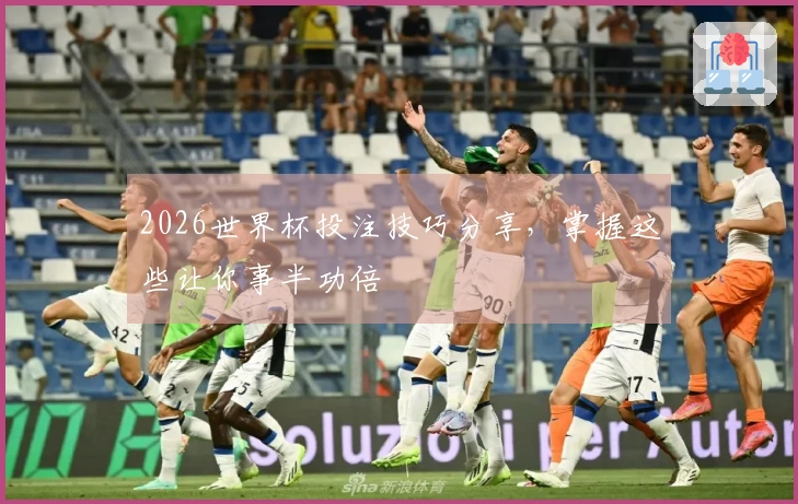 2026世界杯投注技巧分享，掌握这些让你事半功倍