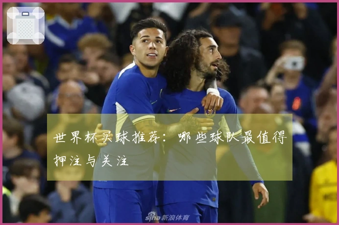 世界杯买球推荐：哪些球队最值得押注与关注