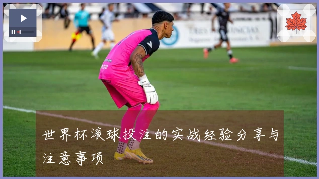 世界杯滚球投注的实战经验分享与注意事项