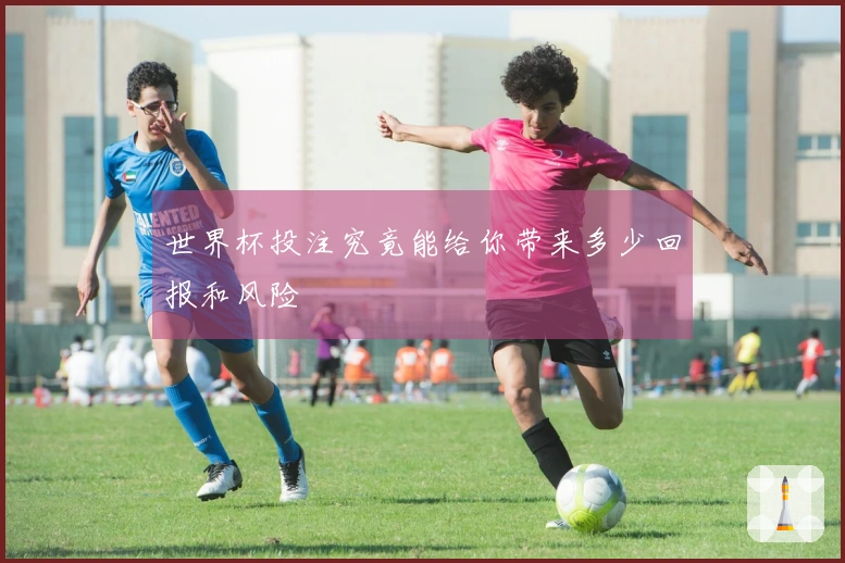 世界杯投注究竟能给你带来多少回报和风险